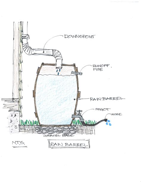 How A Rain Barrel Works Goldbergandrodler Rain Barrel Off Grid Living Off The Grid