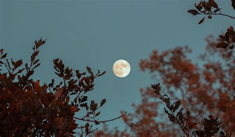 Voici les effets que va avoir la Nouvelle Lune en Bélier du 12 avril