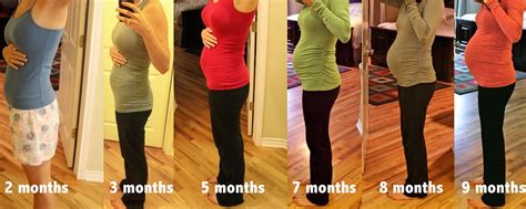 Barriga De Gravida 3 Meses