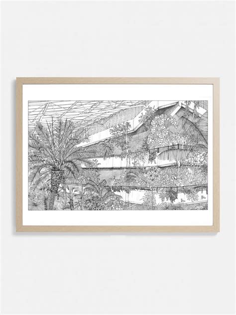 The Barbican Conservatory | Art Print | The Next Sketch