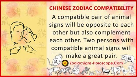 Chinese Zodiac Compatibility - ZodiacSigns-Horoscope.com | ZSH