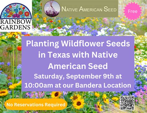 Planting Wildflower Seeds in Texas | Rainbow Gardens