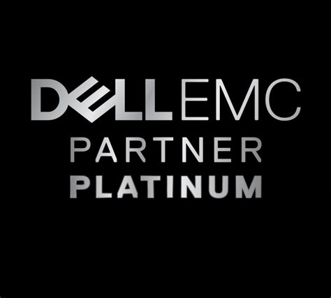 Dellplatinum Ratiodata Se