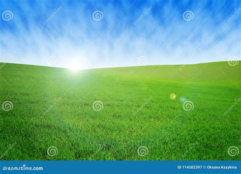 Field With Green Grass And Sky With Clouds Clean Idyllic Beautiful