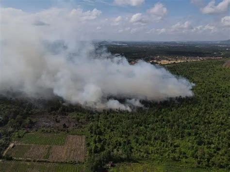 Cuaca Panas 30 Hektar Hutan Tanah Gambut Di Kuantan Terbakar