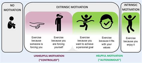 What Is The Best Type Of Exercise Motivation Made Up To Move