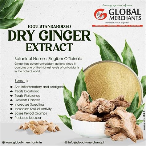 Dry Ginger Extract Zingiber Officinale Packaging Size 25 Kg At Rs