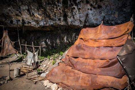 Abris Préhistorique De Laugerie Basse Périgord Découverte