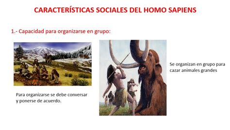 Tomidigital Refuerzo Caracteristicas Sociales Del Homo Sapiens