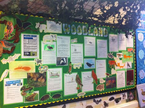 Woodland Ks2 Display Primary School Displays Classroom Displays Ks2