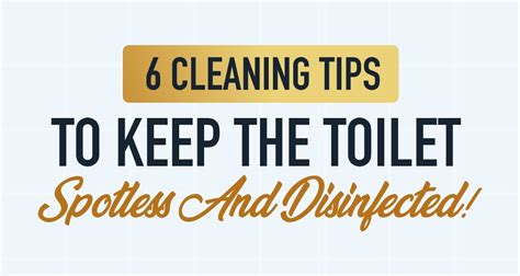 6 Cleaning Tips To Keep The Toilet Spotless And Disinfected Blog