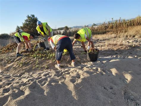 La Regidoria De Medi Ambient Duu A Terme Durant L Estiu Un Projecte Per