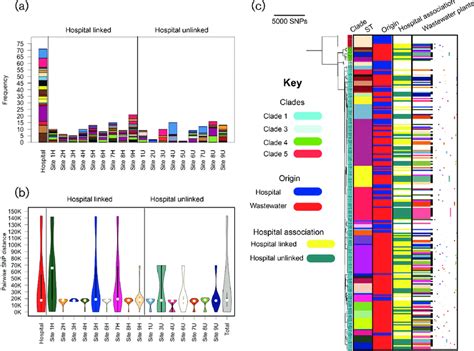 Phylogenetic Analysis Of C Difficile Isolates From Patients And