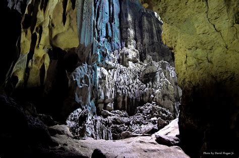 Niah National Park Miri Sarawak Attraction