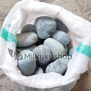 Jual Batu Koral Bengkulu Besar Hias Taman Aquascape Via Cargo