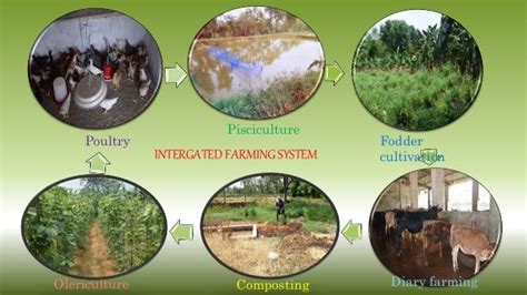 Integrated farming system