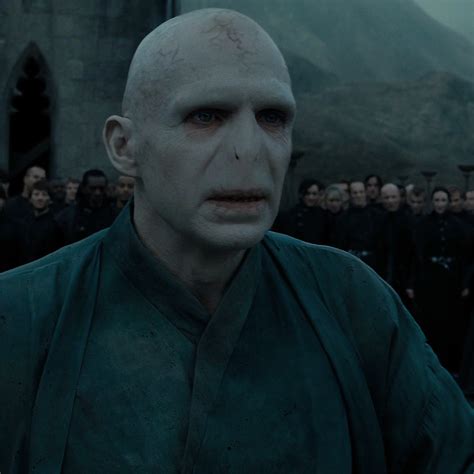 Lord Voldemort | Волан-де-морт, Воланы