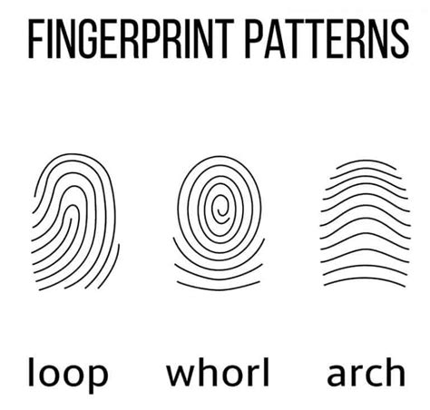 Fingerprint Worksheet For Kids