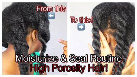 How To Moisturize And Seal High Porosity Natural Hair Simply Subrena Youtube