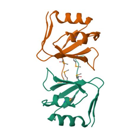 RCSB PDB 2ZUG Crystal Structure Of WSSV ICP11