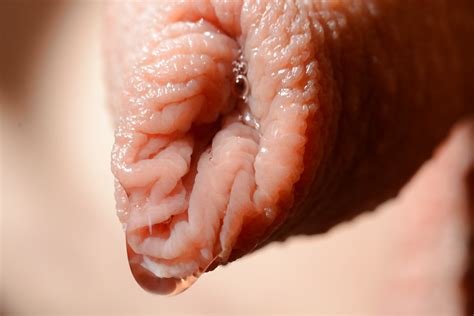 Dripping Precum Close Up Porn Pictures XXX Photos Sex Images 1798125 PICTOA