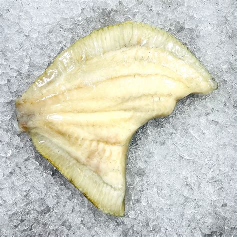 Turbot Fillet - Fisk