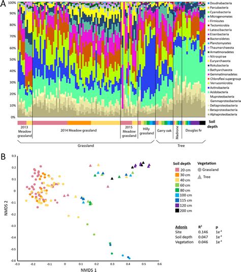 Microbial Community Structure Across The Eel River Czo A Relative