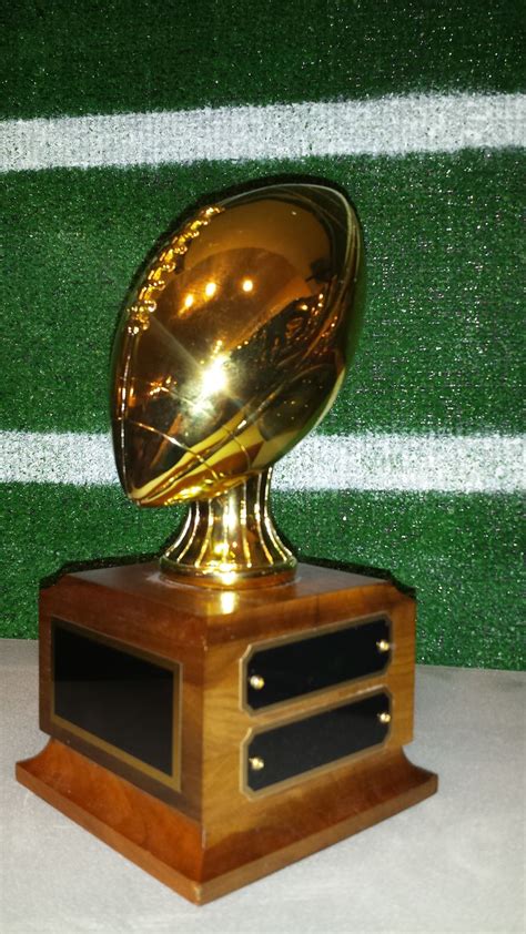 17 best images about Fantasy Football Trophies on Pinterest | Football ...