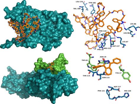 Scalable Inhibitors Of The Nsp3 Nsp4 Coupling In Sars Cov 2 Acs Omega