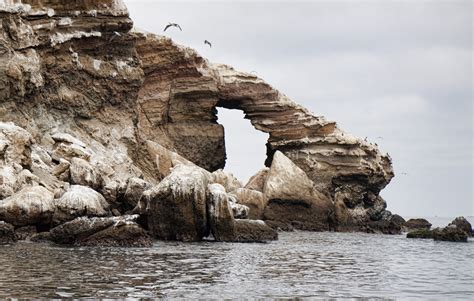 Islas Ballestas Paracas Peru Imagen And Foto Paisajes Mar Y Playa