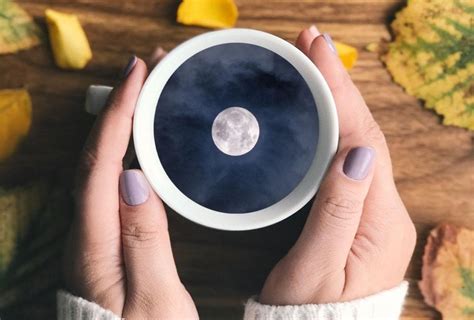 Moon In A Cup Skillshare Student Project