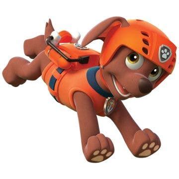 PAW Patrol Descubre A Todos Los Personajes Principales De La Patrulla