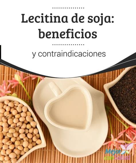 Lecitina De Soja Beneficios Y Contraindicaciones Natural Medicine