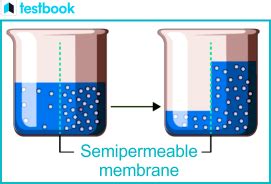 Understanding Reverse Osmosis Process Applications And Faqs