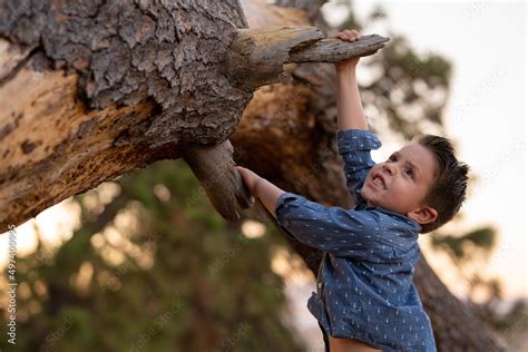 Fotografía Niño feliz jugando escalando trepando un árbol haciendo