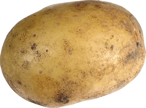 Single Potato Transparent Png Stickpng