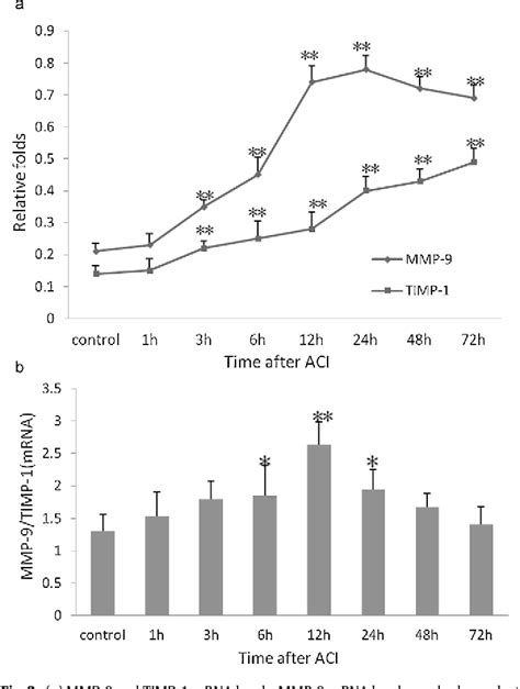 Figure From The Roles Of Mmp Timp In Cerebral Edema Following