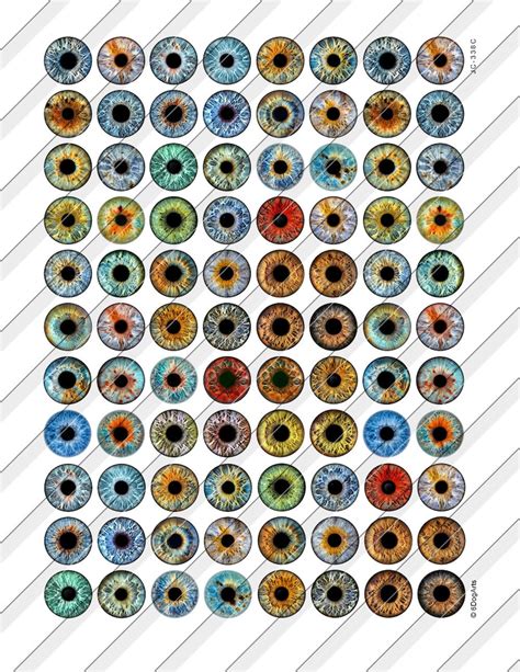 Doll Eye Irises Digital Collage Sheets Printable Realistic Etsy