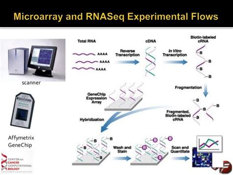 Comparison Between Rnaseq And Microarray For Gene Expression Analysis