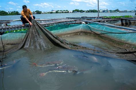 Where Is The Mekong River