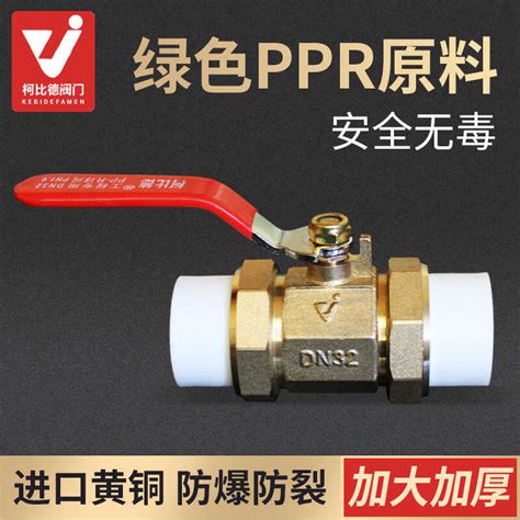 Double Active Ball Valve PPR Water Pipe Fittings Switch Joint Hot Melt