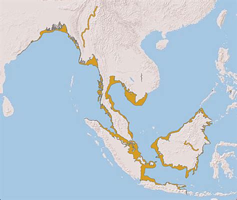 Irrawaddy And Mekong River Map