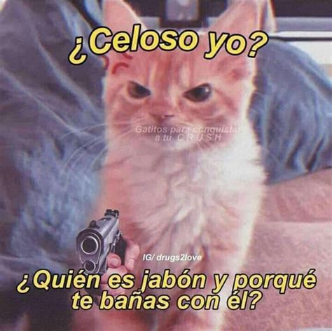 Memes De Gatos Muy Graciosos