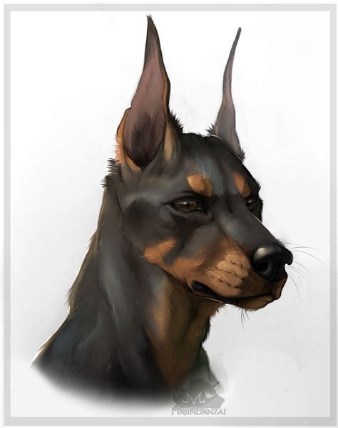 Doberman by IntiZai on DeviantArt