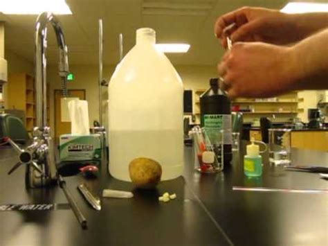 Catalase Enzyme Lab Potato