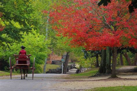 See Colonial Williamsburg Virginia On This Virtual Tour