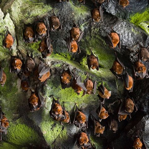 The Most Weird Things In The World