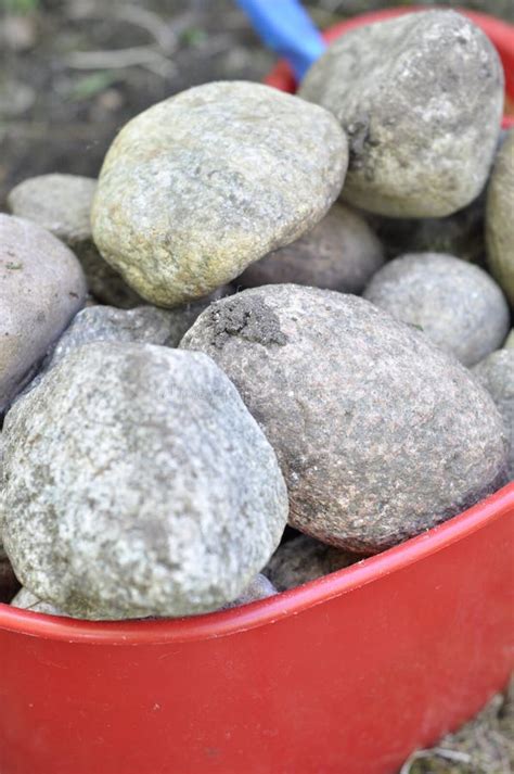 Red Plastic Bucket Full Of Stones Round Solid Granite Stones Are Hard