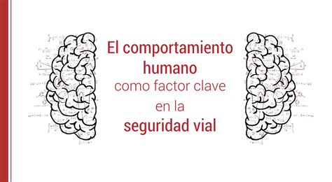 El Comportamiento Humano Como Factor Clave En La Seguridad Vial