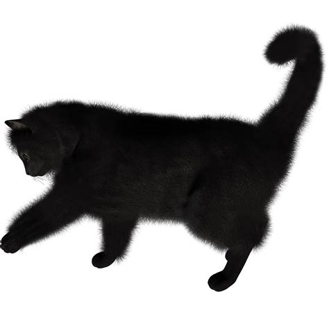 Black cat Kitten Computer Icons - Cat png download - 1490*1520 - Free ...